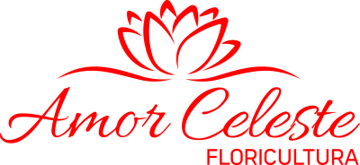 Floricultura Amor Celeste - parceiro Vitrine LED